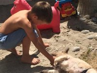 10154991329043362  Dagen startede med at køre til Soizic og Emmanuel i Hardelot-Plage. Hvor vi nød en super eftermiddag ved vandet i hyggeligt selskab. Sjovt som vejret kan slå om fra høj sol til at man ikke kan se stranden næsten og så flot solnedgang. Tak for hyggeligt selskab 😄 og for jeres gæstfrihed 😄. Så er vi ankommet til vores hytte i skoven for en nat ... Her er super fint. Vi glæder os til at se det i dagslys inden turen går til Rachel. ❤️